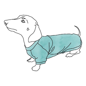 Modello di cucito per maglia per bassotto - Toby Weenie Clothes (modello PDF)