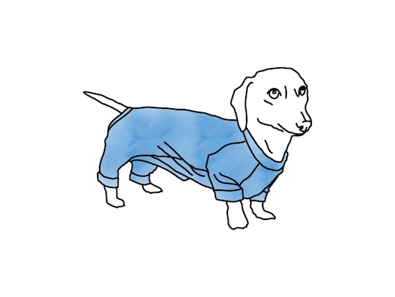 Dachshund Pajamas Sewing Pattern PDF – Dog Clothes Pattern for Sausage Dog & Weiner Dog Outfits