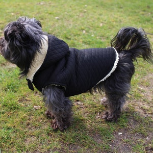 6 Sizes Dog Jacket PDF Sewing Pattern LARGE 13-18 Timmy image 5