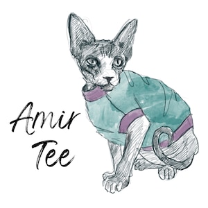 amir tee for cats by the tailoress, pet hoodies, warm cat clothes, winter cat clothes, sewing pattern cat