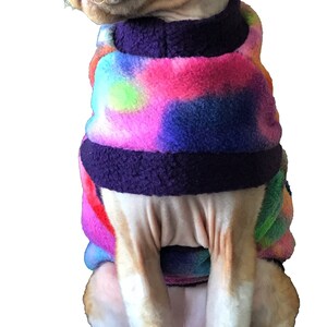 Cat t-shirt, sphinx cat clothes, cat sewing shirt, cat sewing pattern, cat shirt for cat, sphynx sweater, winter cat clothes, sphynx kitten clothes, sphynx cat clothing, sphynx clothes