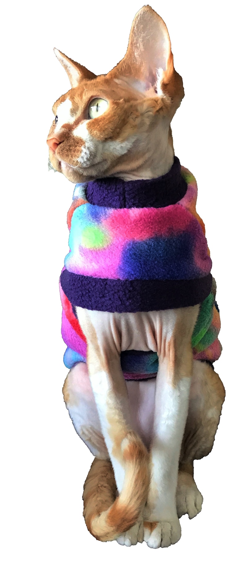 Cat t-shirt, sphinx cat clothes, cat sewing shirt, cat sewing pattern, cat shirt for cat, sphynx sweater, winter cat clothes, sphynx kitten clothes, sphynx cat clothing, sphynx clothes