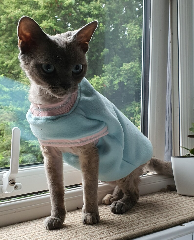 Sphynx Cat Shirt PDF Sewing Pattern Etsy Finland