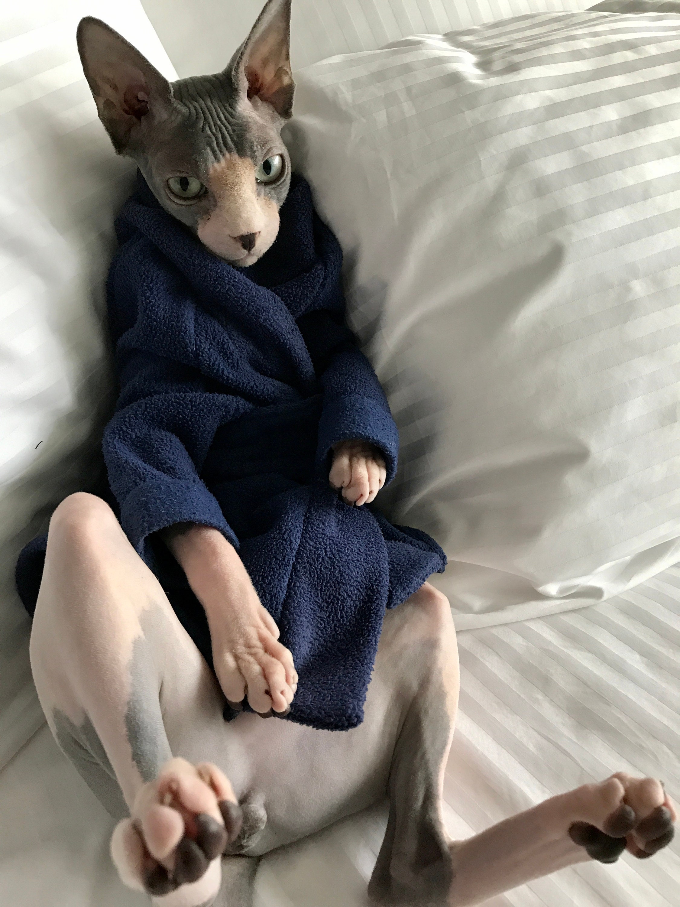 Sphynx Cat Robe PDF Sewing Pattern Etsy Australia