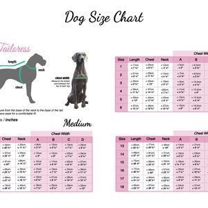 6 Sizes Dog Jacket PDF Sewing Pattern LARGE 13-18 Timmy image 8