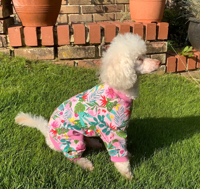 Dog Pyjama PDF Sewing Pattern All Sizes Bundle Etsy UK