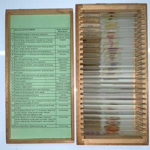 TURTOX Microscope Slide Set HUMAN ORGAN Systems Histology Pathology Deadly Diseases +  General Embryology Home school science