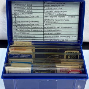 PARASITE Microscope Slide Set • DEADLY DISEASE • Malaria Protozoa Helminth Worm • Insect Whole Mount • Head Louse • Cat Flea • Vintage