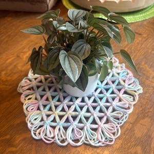 May include: A small potted Peperomia plant with heart-shaped, silvery-green leaves sits centred on a round, handmade doily. The doily features a geometric, open-work pattern crafted from pastel-coloured yarn in shades of pink, blue, and yellow.