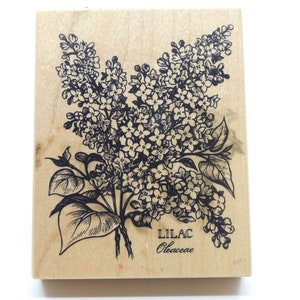 Tampon en caoutchouc pour montage sur bois, fleur botanique, fleur lilas - PSX K-1299