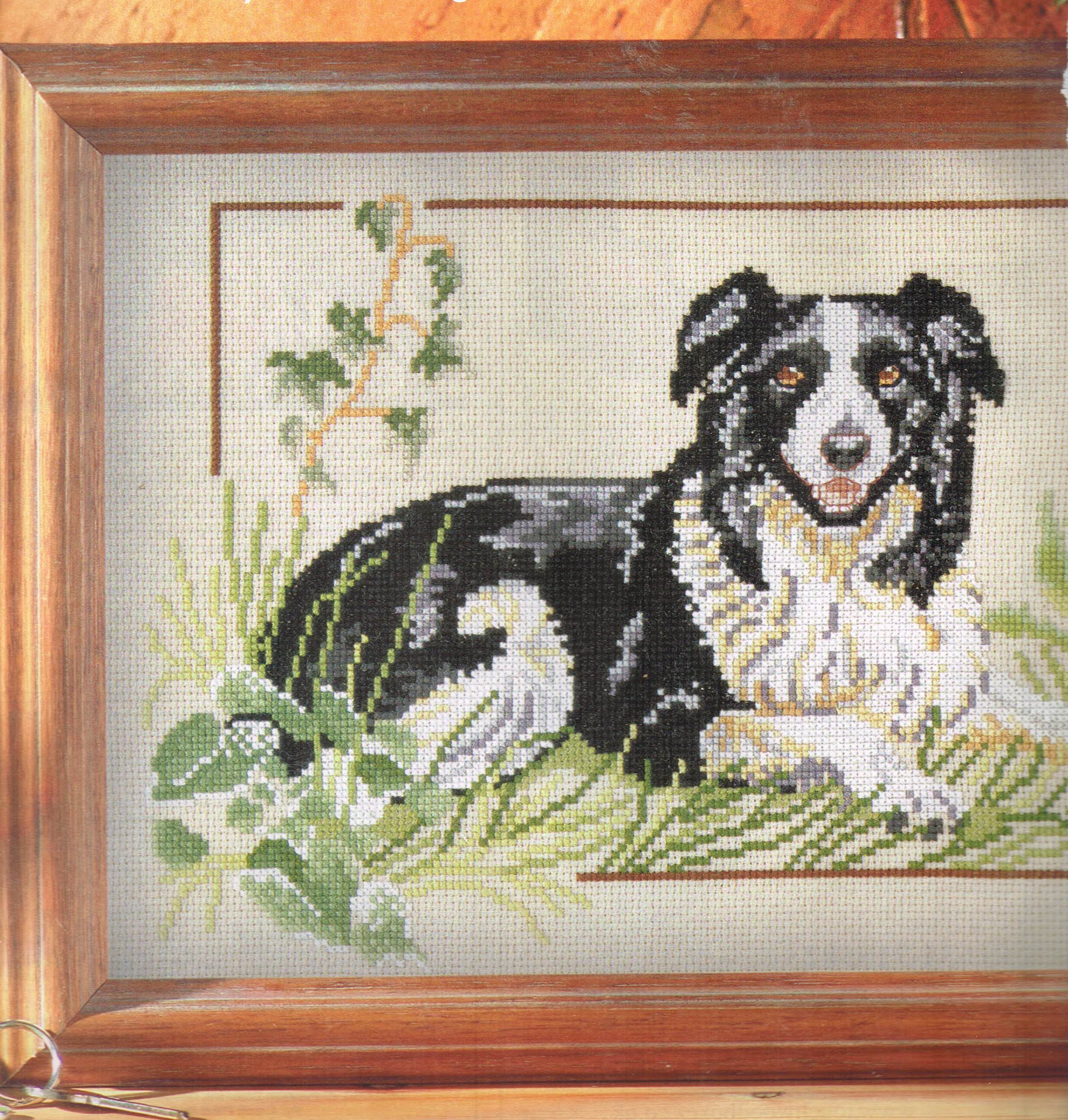 Border Collie Cross Stitch Pattern Etsy