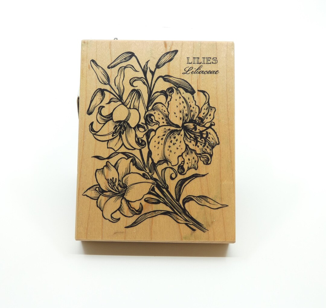 Lily Flower Botanical Flower Wood Mounted Rubber Stamp - PSX K-1276 - Etsy