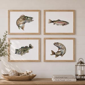 Watercolour Fish Prints | Bass, Trout, Muskie, Walleye Artwork | Gift for Anglers | Freshwater Print Decor