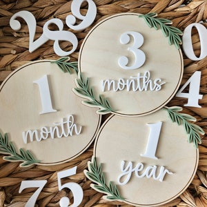 Disques d'étapes mensuelles | Disques photos mensuels bébé | Ensemble d'accessoires photo mensuels numéros interchangeables | Ensemble de photos mensuelles avec détails de feuilles