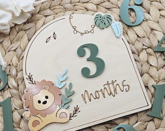 Lion Jungle Safari Monthly Milestones | Baby Monthly Discs for Photos | Interchangeable Numbers Monthly Photo Prop Set | Baby Photo Prop