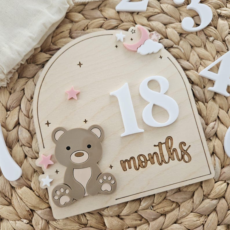 Teddy Bear Monthly Milestone Discs | Baby Monthly Discs for Photos ...