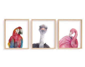Exotic Bird Watercolor Print Set | Nursery Animal Art