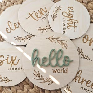 May include: A set of circular wooden baby milestone discs. Each disc is engraved with a month number, with a central disc featuring the words "hello world" in green. Leaf designs are etched around the edges.