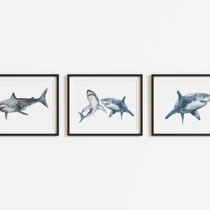 May include: Three framed watercolor prints featuring sharks in shades of gray and blue. Each shark is depicted in a different pose, set against a white background. The frames are black, creating a clean, modern aesthetic. Ideal for a coastal or nautical themed decor.