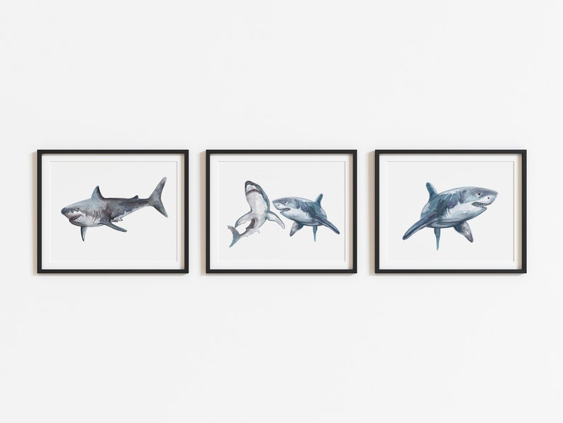 May include: Three framed watercolor prints featuring sharks in shades of gray and blue. Each shark is depicted in a different pose, set against a white background. The frames are black, creating a clean, modern aesthetic. Ideal for a coastal or nautical themed decor.