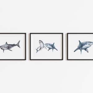 Watercolour Shark Print Set | Nautical Underwater Ocean Prints | Shark Wall Art | Watercolour Prints from Original Artwork | Ocean Animals
