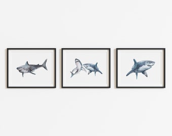May include: Set of three framed art prints featuring watercolor illustrations of sharks. Each print showcases a different shark pose, with varying shades of gray and blue against a white background. The frames are black, creating a clean, modern look.