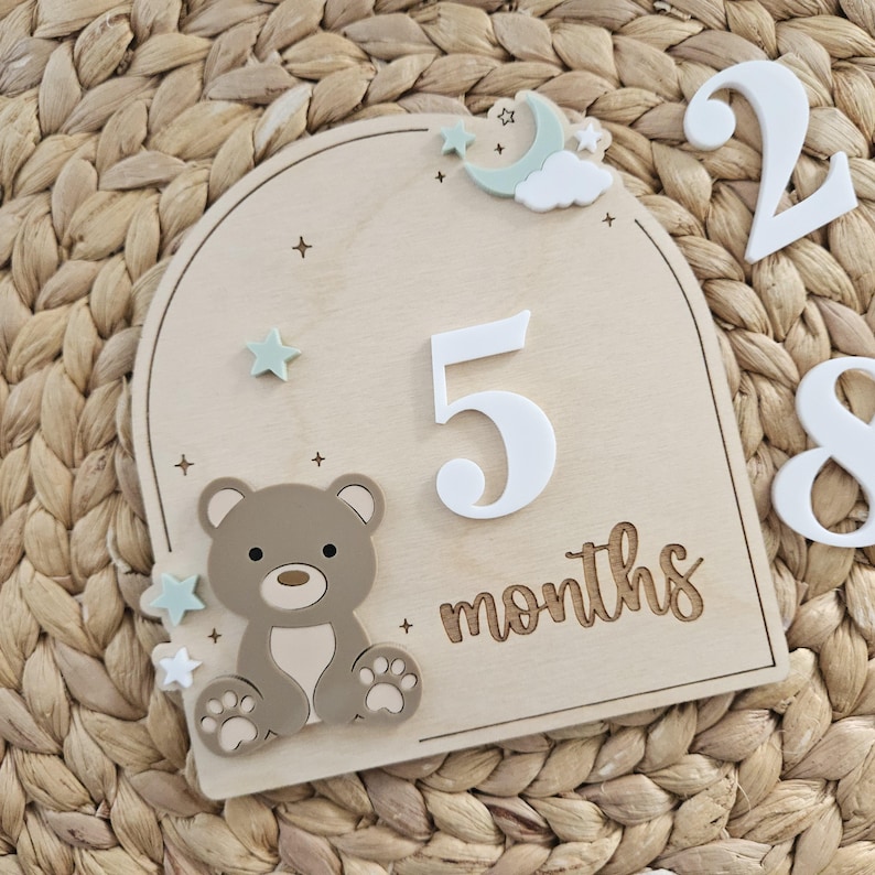 Teddy Bear Monthly Milestone Discs | Baby Monthly Discs for Photos ...