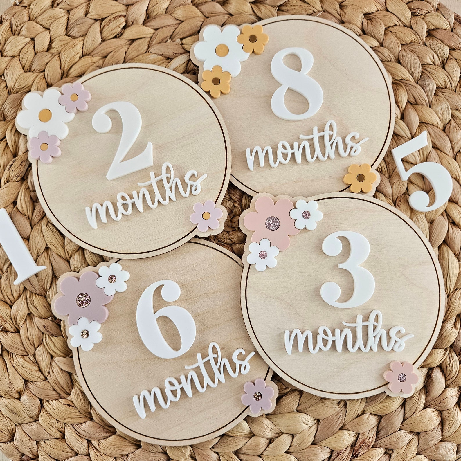 Monthly Milestone Discs | Baby Monthly Discs for Photos ...