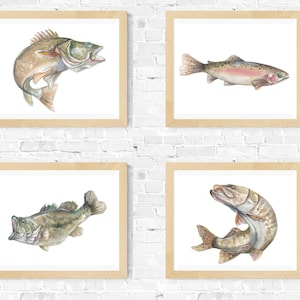 Watercolour Fish Prints/ bass, trout, muskie, walleye