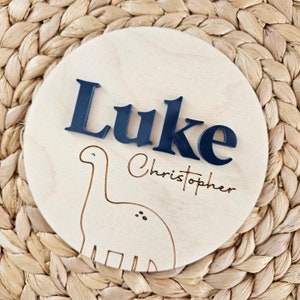 Newborn Birth Disc | Birth Announcement Name Sign | Double-Sided Hospital Sign with Birth Stats | Baby Photo Prop | Dinosaur Baby Name Sign