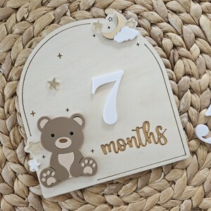 Teddy Bear Monthly Milestone Discs | Baby Monthly Discs for Photos ...