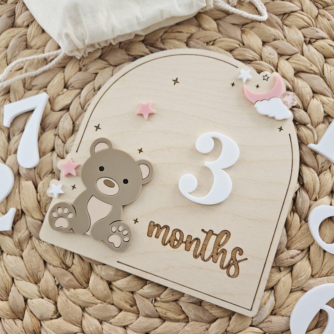 Teddy Bear Monthly Milestone Discs | Baby Monthly Discs for Photos ...