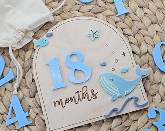 Ocean Whale Baby Milestone Discs | Reversible Monthly Photo Prop