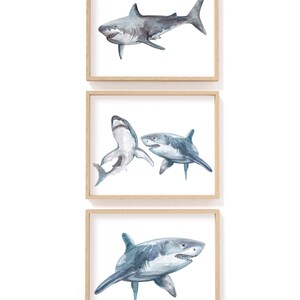 May include: Three framed watercolor prints of sharks. The top print shows a single shark in shades of gray and blue. The middle print depicts two sharks, and the bottom print shows a single shark. All prints are in light wood frames.