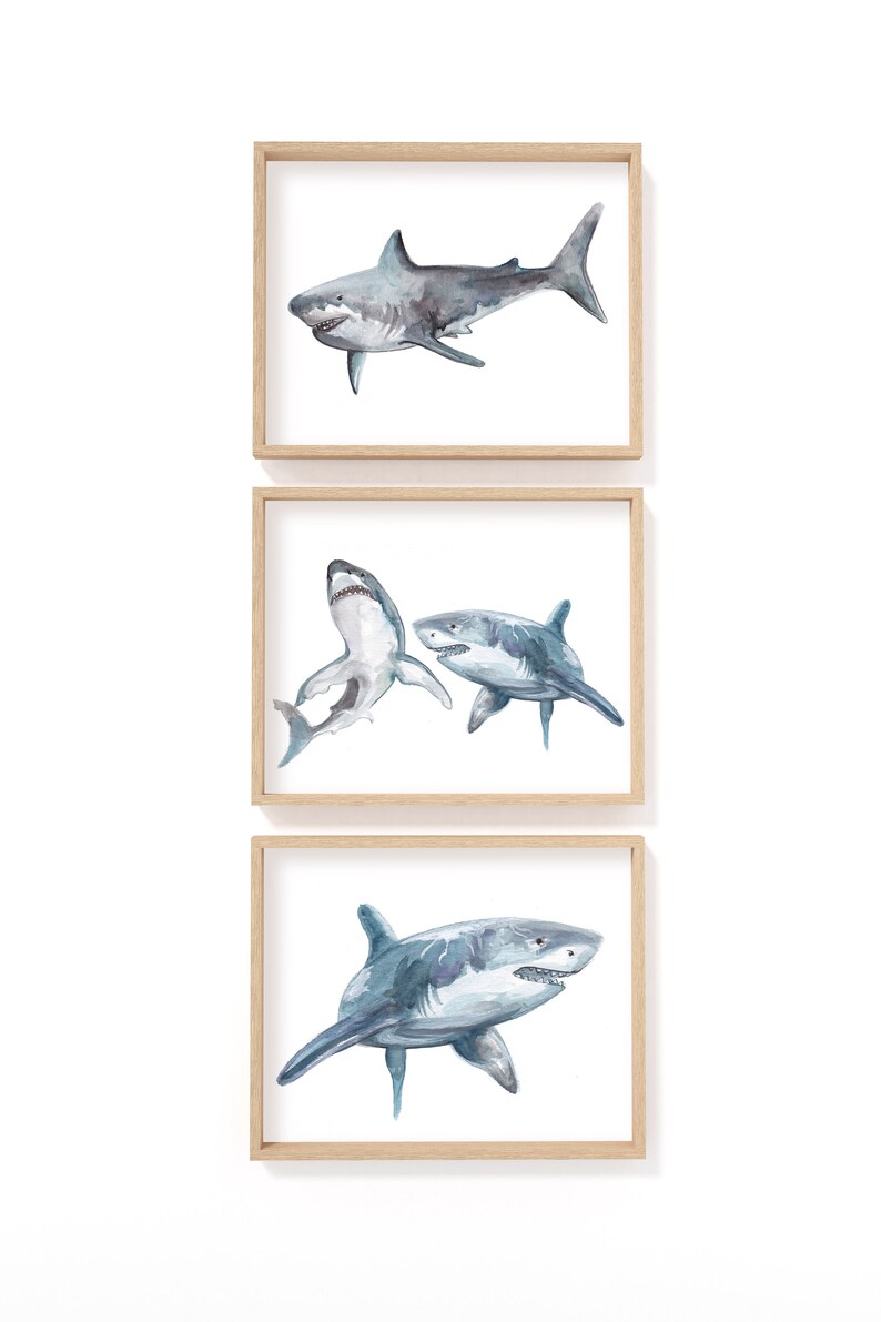 May include: Three framed watercolor prints of sharks. The top print shows a single shark in shades of gray and blue. The middle print depicts two sharks, and the bottom print shows a single shark. All prints are in light wood frames.