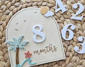 Ocean Beach Monthly Milestone Disc | Baby Monthly Discs for Photos | Interchangeable Numbers Monthly Photo Prop Set | Newborn Photo Prop