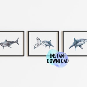 May include: Three framed watercolor prints featuring sharks in shades of gray and blue. Each shark is depicted in a different pose, set against a white background. The text "INSTANT DOWNLOAD" is visible in the lower right corner.