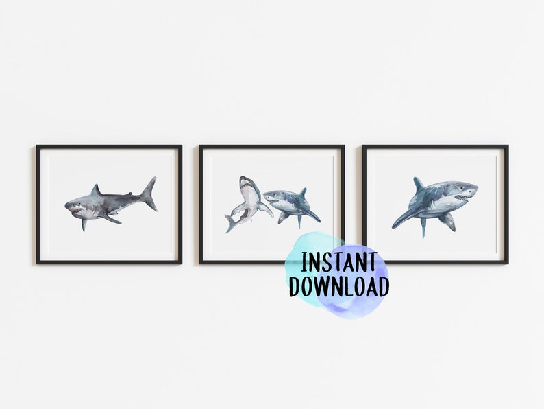 May include: Three framed watercolor prints featuring sharks in shades of gray and blue. Each shark is depicted in a different pose, set against a white background. The text "INSTANT DOWNLOAD" is visible in the lower right corner.