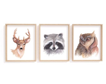 Woodland animal watercolour Prints/ deer, raccoon and owl prints/ animal nursery prints/ forest animals