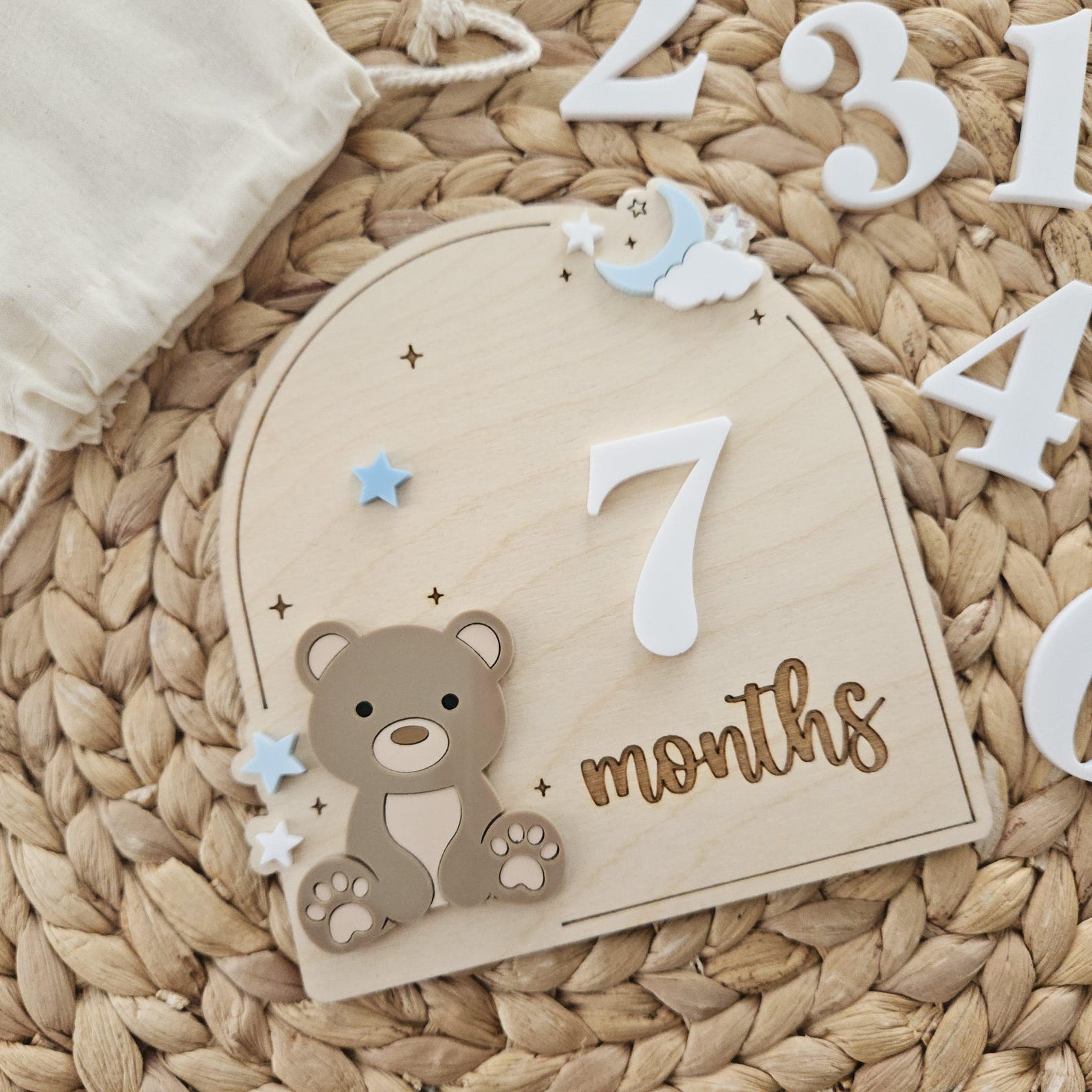 Teddy Bear Monthly Milestone Discs | Baby Monthly Discs for Photos ...