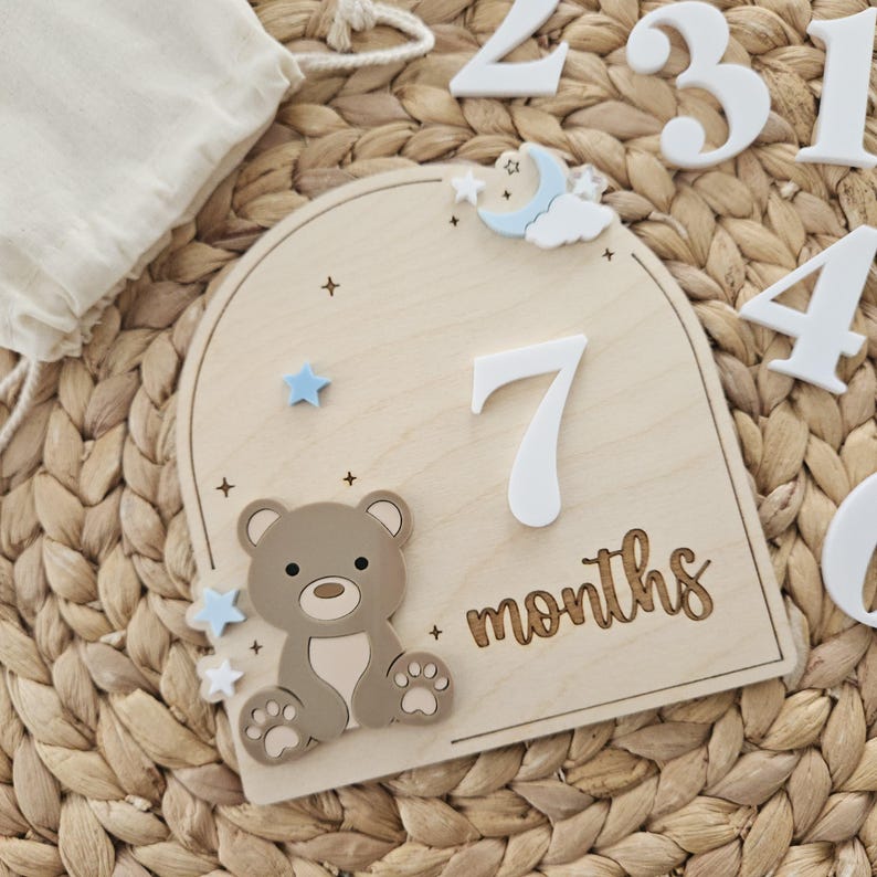 Teddy Bear Monthly Milestone Discs | Baby Monthly Discs for Photos ...