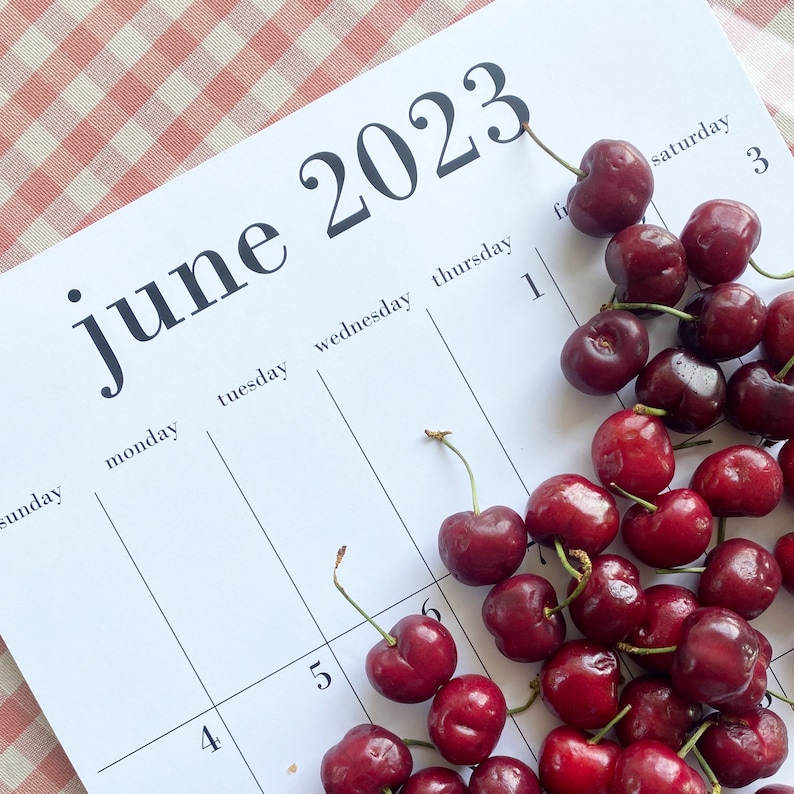 2024 calendar through June 2025 11x17 for wall or fridge image 2