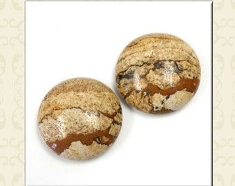 May include: Two 20mm round picture jasper cabochons. The cabochons are a light brown color with darker brown and black markings.