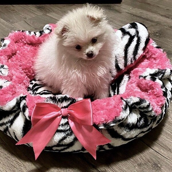 Striped Dog Bed Etsy