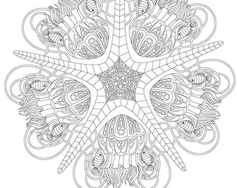Coloring Page Sea Star 