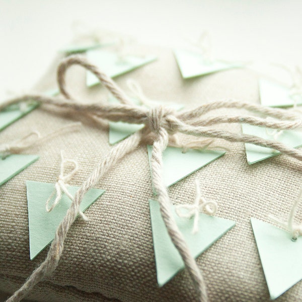 Personalized Mint Green Wedding Ring Pillow