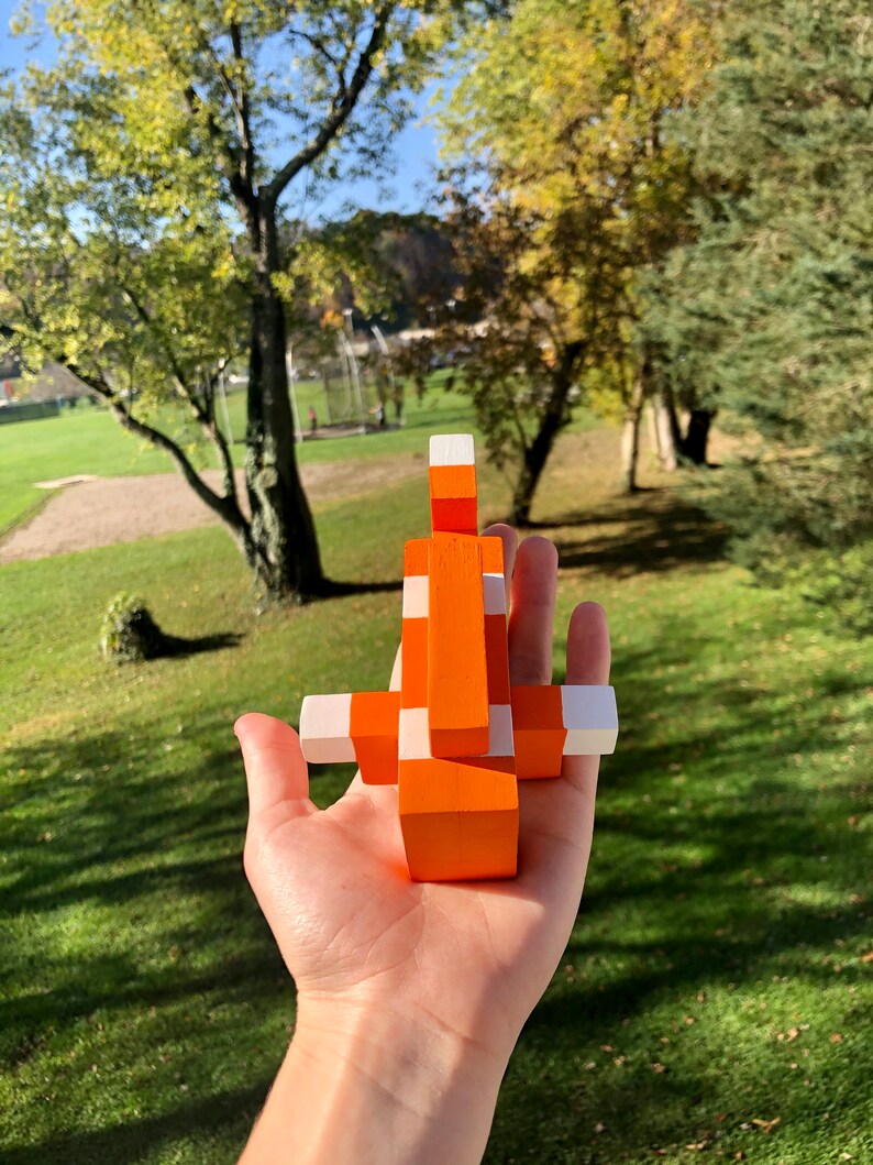  Minecraft Tropical Fish Etsy