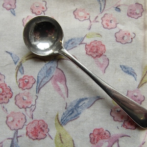 May include: A small, silver ladle with a round bowl and long handle. The ladle is on a floral fabric with pink and blue flowers.