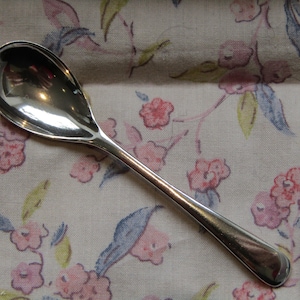May include: A polished silver spoon with a rounded bowl and a long handle. The spoon is displayed on a floral fabric with pink flowers, blue leaves, and a cream background. A classic utensil.