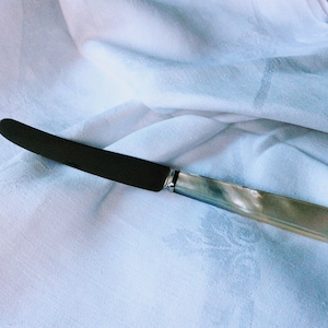 Butter Knife Vintage 1930s Stainless Steel and Mother of Pearl   (106045E)